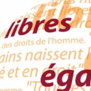 Illustration site Institut des Droits de l'Homme 